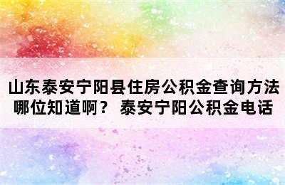 山东泰安宁阳县住房公积金查询方法哪位知道啊？ 泰安宁阳公积金电话